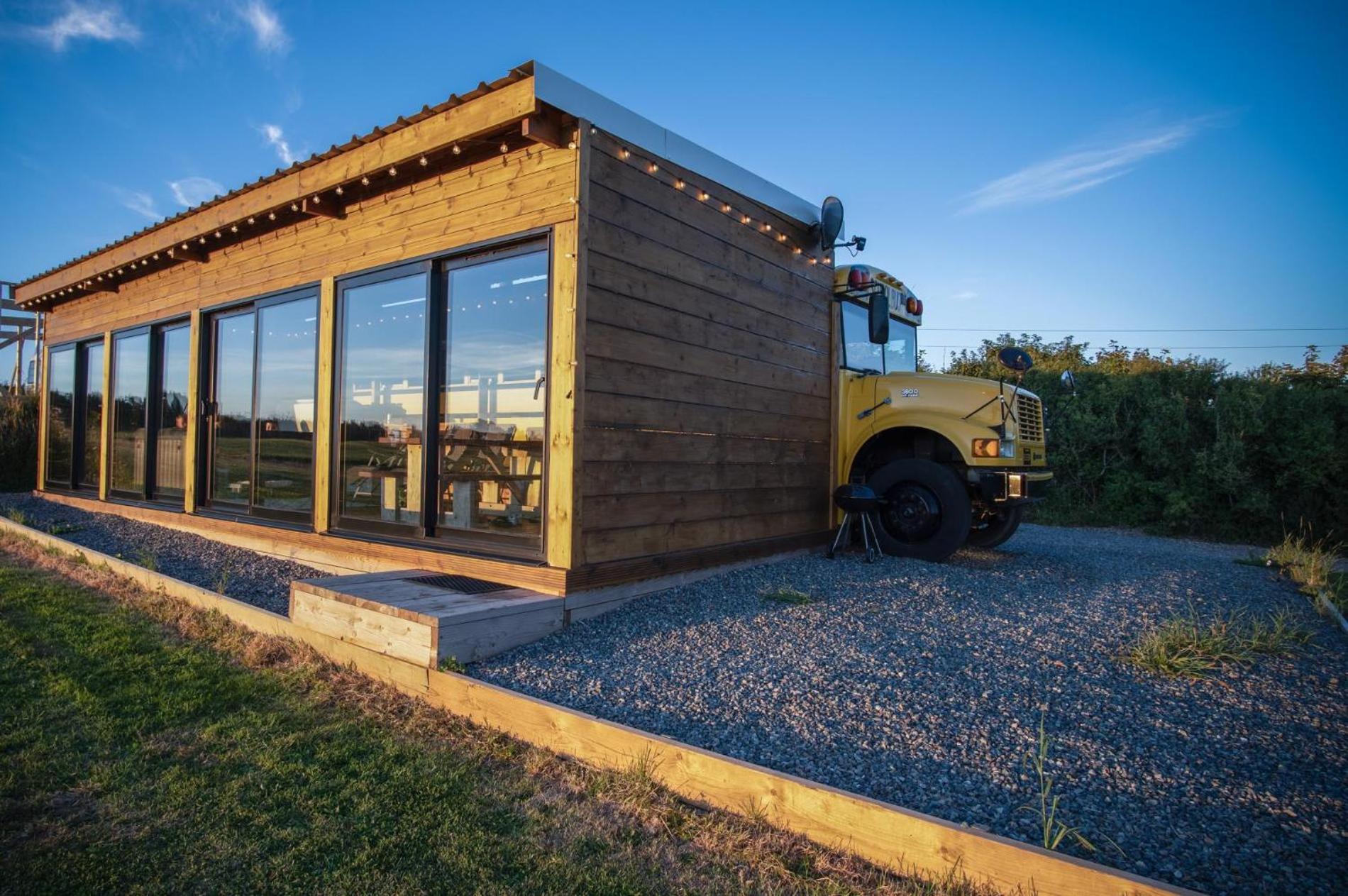 American School Bus - 1 Bedroom - Blossom Farm - Tiers Cross Johnston Exterior foto